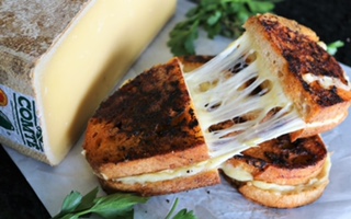 22 Photo Grilled Cheese Pull 2