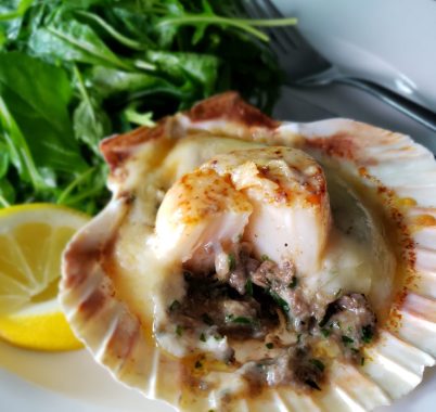 20 Photo Scallop Gratine 3sm